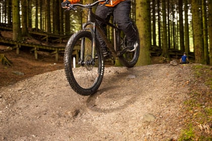person mountain biking through the forest on a black bike with orange jacket and black helmet.