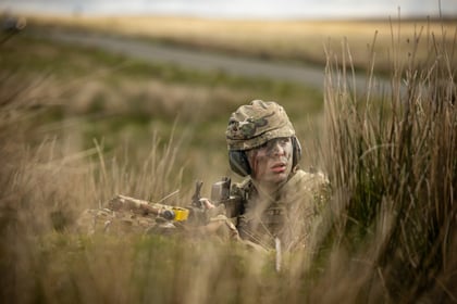 Cadet looks out from tall grass during fieldcraft exercise at Cadet Cambrian Patrol 2026