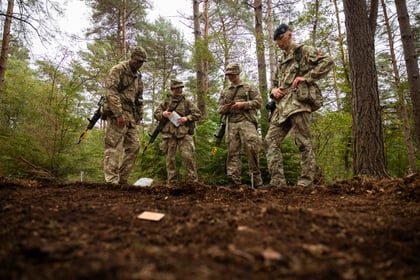 Four Army Cadets in camouflage uniforms stand in a forest clearing looking down at a small object on the ground.