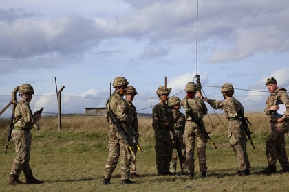 Several soldiers in camouflage uniforms and helmets stand in a grassy field, some holding rifles, with a wire fence and cloudy sky in the background. One soldier holds a long aerial.