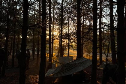 Sunlight streams through tall trees in a forest, illuminating yellowish tarpaulins or tents on the ground. Shadows and silhouettes of several people are visible among the trees, creating a peaceful and rustic outdoor scene reminiscent of Berkshire ACF Summer Camp 2026.