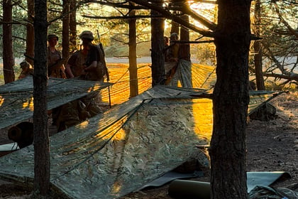 Three people set up camouflage tarpaulins between trees in a sunlit forest during the Berkshire ACF Summer Camp 2026. The sun shines through the tarpaulins, casting a golden glow on their figures and the forest floor.