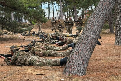 Soldiers in camouflage uniforms lie on the ground aiming rifles, while others stand further back in a wooded area with pine trees and scattered dry needles during Berkshire ACF Summer Camp 2026.