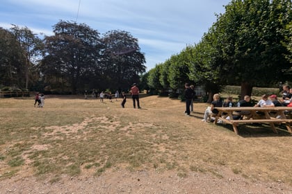 People play cricket on a sunny grassy field while others sit at picnic tables under trees. Some watch the match, and the sky is mostly clear.