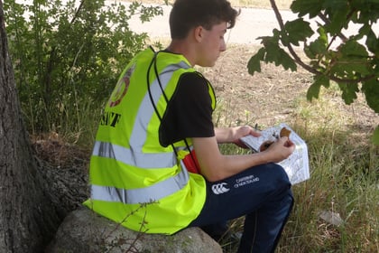 A person in a yellow safety vest sits on a large rock under a tree, eating lunch and looking towards a field with grass and trees in the background.
