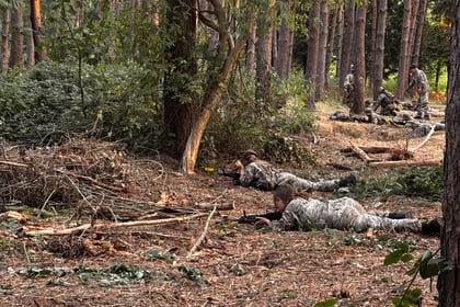 Soldiers in camouflage uniforms lie prone with rifles in a dense forest, surrounded by tall trees and undergrowth. Sunlight filters through the trees as a group appears to be conducting training or a military exercise.